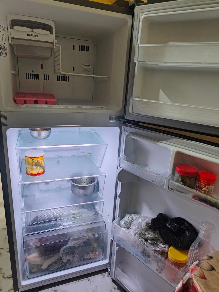 Door shelves of LG 264 L refrigerature